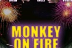 Monkey Fire (iPhone/iPod)