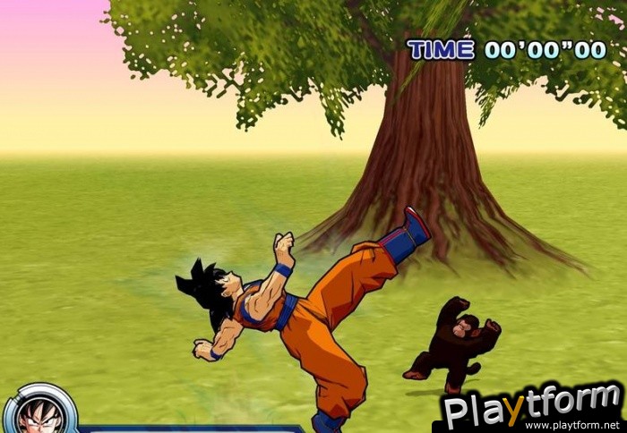 Dragon Ball Z: Infinite World (PlayStation 2)