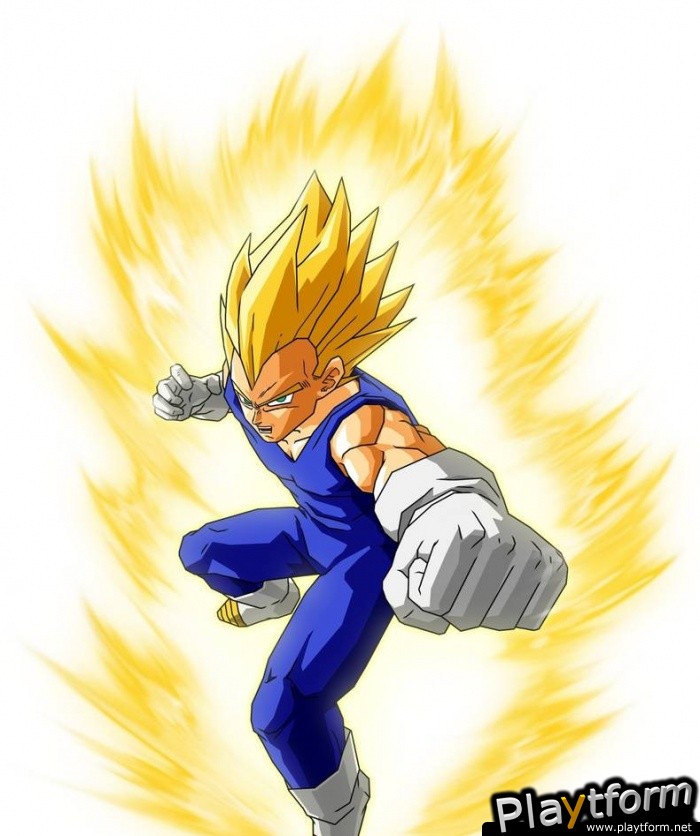 Dragon Ball Z: Infinite World (PlayStation 2)