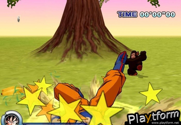Dragon Ball Z: Infinite World (PlayStation 2)