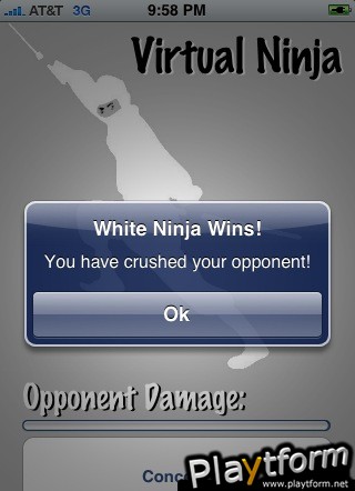 Virtual Ninja (iPhone/iPod)