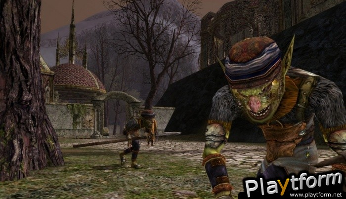 The Lord of the Rings Online: Mines of Moria (PC)