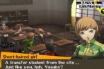 Shin Megami Tensei: Persona 4 (PlayStation 2)