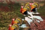 Turkey Hunt (iPhone/iPod)