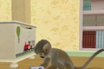 Petz Crazy Monkeyz (Wii)