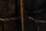 Tomb Raider: Underworld (PlayStation 3)