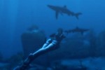 Tomb Raider: Underworld (PlayStation 3)
