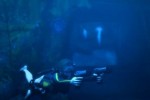 Tomb Raider: Underworld (PlayStation 3)