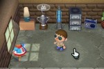 Animal Crossing: City Folk (Wii)