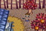 Animal Crossing: City Folk (Wii)