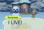 Animal Crossing: City Folk (Wii)