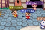 Animal Crossing: City Folk (Wii)