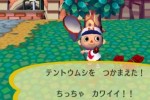 Animal Crossing: City Folk (Wii)