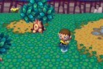 Animal Crossing: City Folk (Wii)