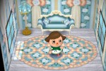 Animal Crossing: City Folk (Wii)