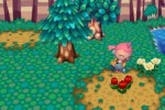 Animal Crossing: City Folk (Wii)