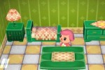 Animal Crossing: City Folk (Wii)