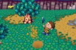 Animal Crossing: City Folk (Wii)