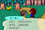Animal Crossing: City Folk (Wii)