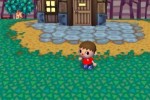 Animal Crossing: City Folk (Wii)