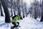 Shaun White Snowboarding (Xbox 360)