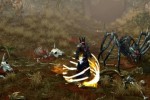 Sacred 2: Fallen Angel (PC)