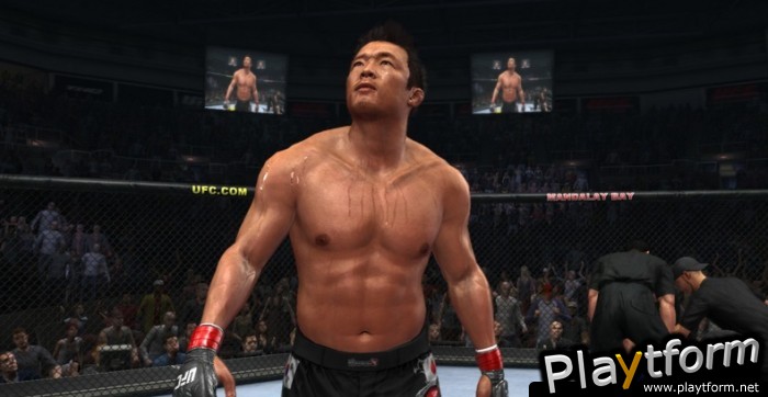 UFC 2010 Undisputed (PlayStation 3)