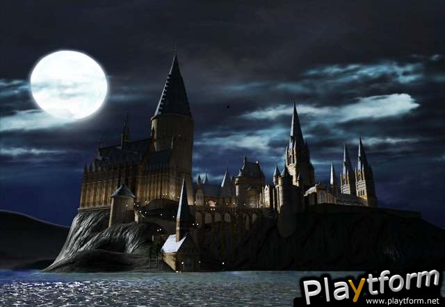 LEGO Harry Potter: Years 1-4 (Wii)