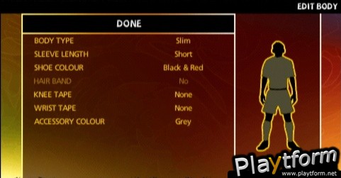 2010 FIFA World Cup South Africa (PSP)