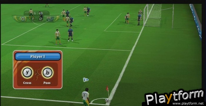 2010 FIFA World Cup South Africa (Wii)