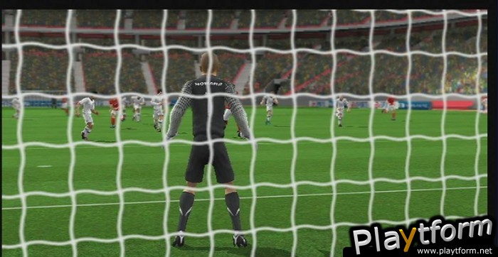 2010 FIFA World Cup South Africa (Wii)