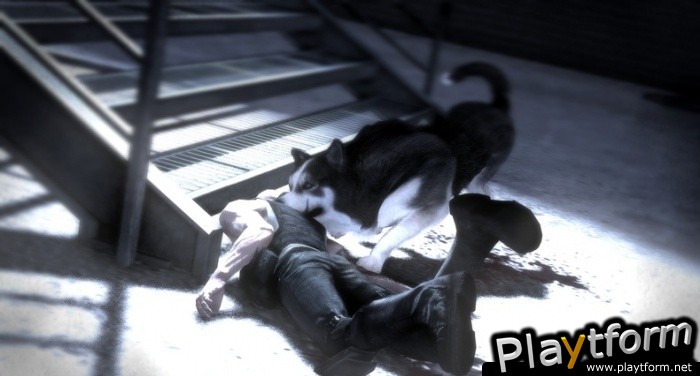 Dead to Rights: Retribution (PlayStation 3)