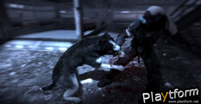 Dead to Rights: Retribution (Xbox 360)