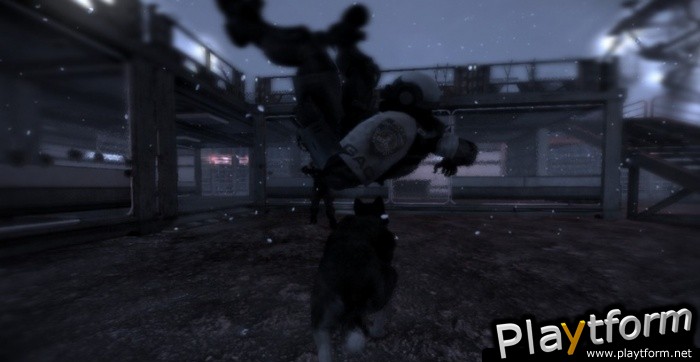 Dead to Rights: Retribution (Xbox 360)