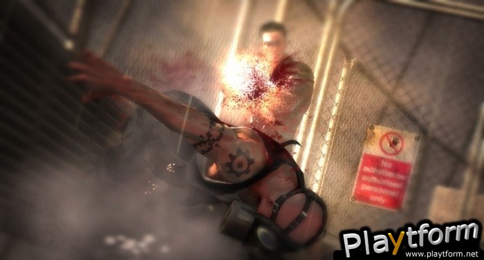 Dead to Rights: Retribution (Xbox 360)