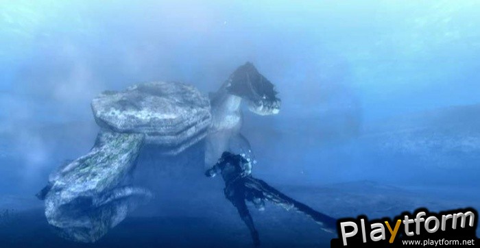 Monster Hunter Tri (Wii)