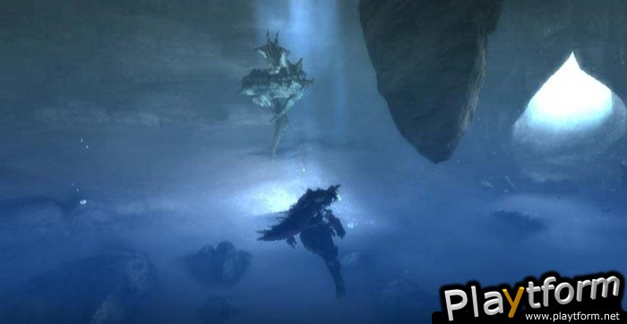 Monster Hunter Tri (Wii)