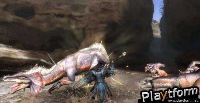 Monster Hunter Tri (Wii)