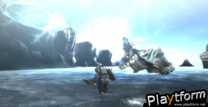 Monster Hunter Tri (Wii)