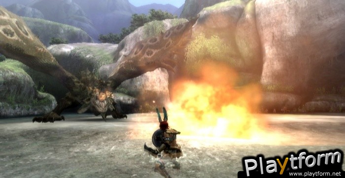 Monster Hunter Tri (Wii)