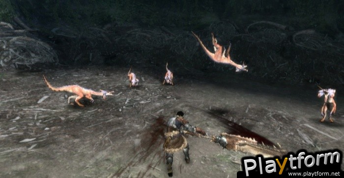Monster Hunter Tri (Wii)