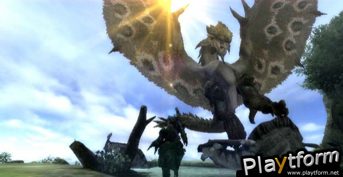 Monster Hunter Tri (Wii)
