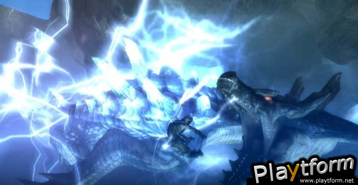Monster Hunter Tri (Wii)