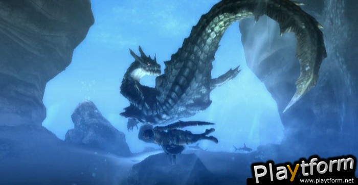Monster Hunter Tri (Wii)