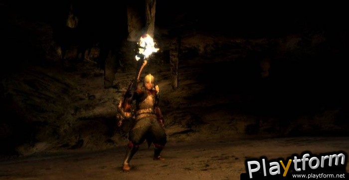Monster Hunter Tri (Wii)