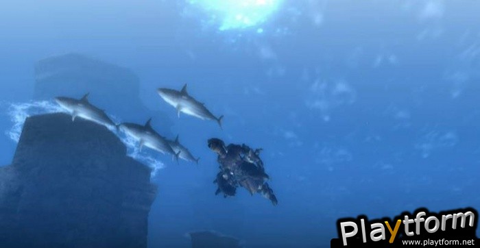 Monster Hunter Tri (Wii)