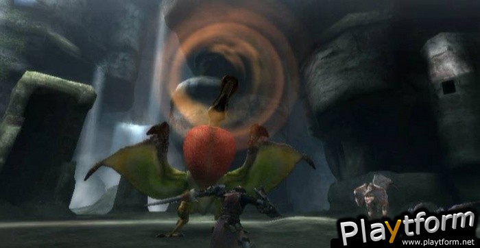 Monster Hunter Tri (Wii)