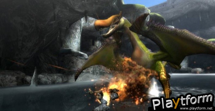 Monster Hunter Tri (Wii)