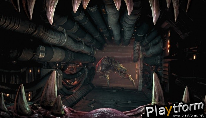 Natural Selection 2 (PC)