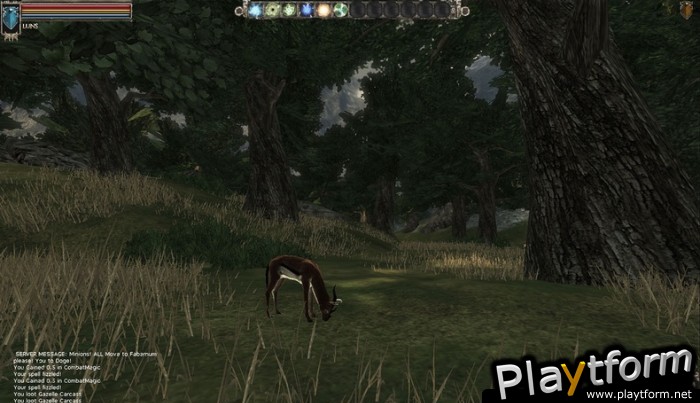 Mortal Online (PC)